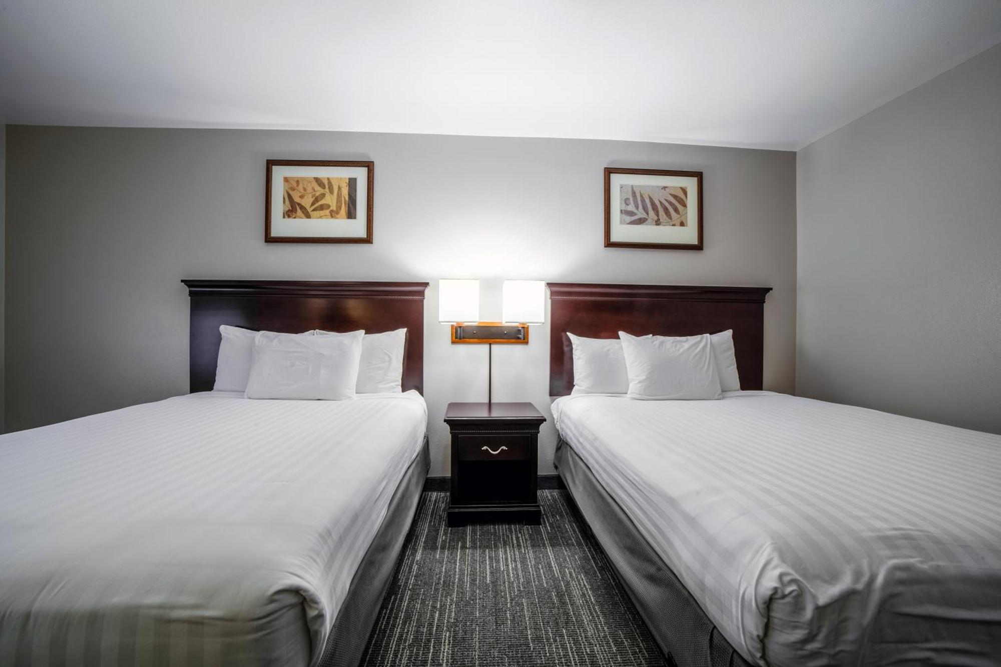 Country Inn & Suites By Radisson, Ontario At Ontario Mills, Ca Ngoại thất bức ảnh